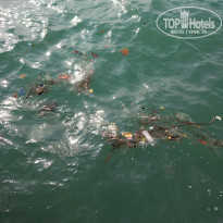 фото из отзыва ID 1811970