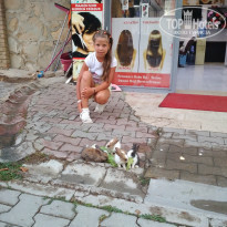 фото из отзыва ID 1812013