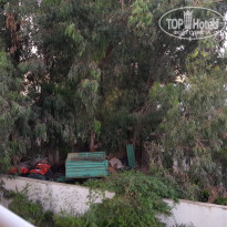 фото из отзыва ID 1812085