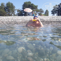 фото из отзыва ID 1812091