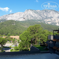 фото из отзыва ID 1811179