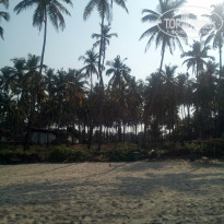 фото из отзыва ID 1812328