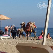 фото из отзыва ID 1812509