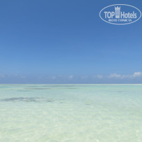 фото из отзыва ID 1812751