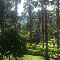 фото из отзыва ID 1812855