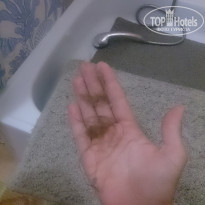 фото из отзыва ID 1812869