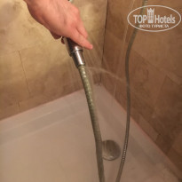 фото из отзыва ID 1813046