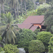 фото из отзыва ID 1813068