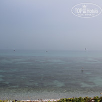 фото из отзыва ID 1813153