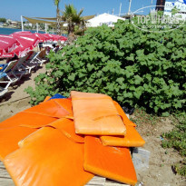 фото из отзыва ID 1813171