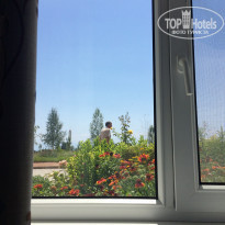 фото из отзыва ID 1813332