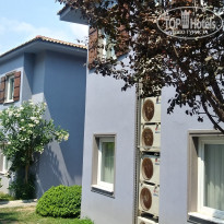 фото из отзыва ID 1813342