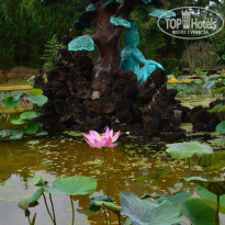 фото из отзыва ID 1813355