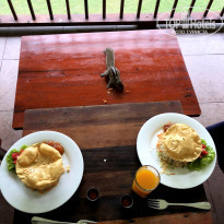 фото из отзыва ID 1813666