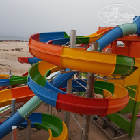 фото из отзыва ID 1813691