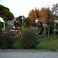 фото из отзыва ID 1813697