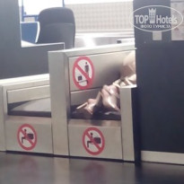 фото из отзыва ID 1813829