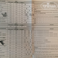 фото из отзыва ID 1813918