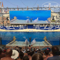 фото из отзыва ID 1813986