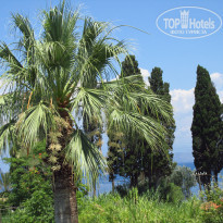 фото из отзыва ID 1813982