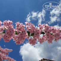 фото из отзыва ID 1813982