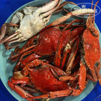 фото из отзыва ID 1814167