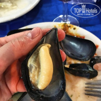 фото из отзыва ID 1814167