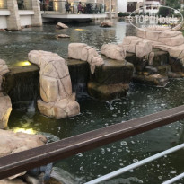 фото из отзыва ID 1814143