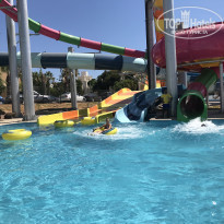 фото из отзыва ID 1814483