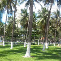 фото из отзыва ID 1814500