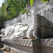 фото из отзыва ID 1814500