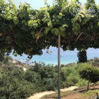 фото из отзыва ID 1814679