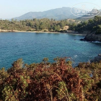 фото из отзыва ID 1814683