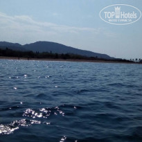 фото из отзыва ID 1814683