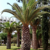 фото из отзыва ID 1814683