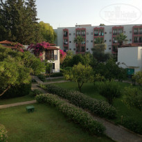 фото из отзыва ID 1813028