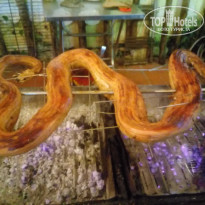 фото из отзыва ID 1814866