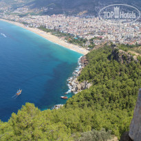 фото из отзыва ID 1814764