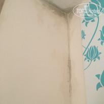 фото из отзыва ID 1814923