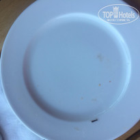 фото из отзыва ID 1814929