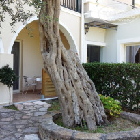 фото из отзыва ID 1814935