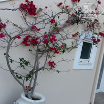 фото из отзыва ID 1814935