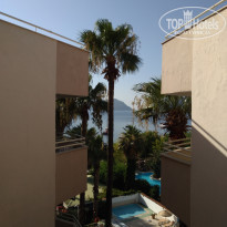 фото из отзыва ID 1815000