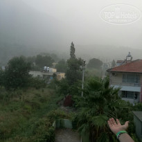 фото из отзыва ID 1815011