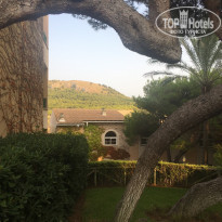 фото из отзыва ID 1815179