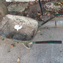 фото из отзыва ID 1815232