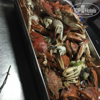 фото из отзыва ID 1815376