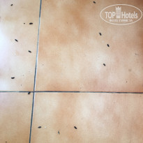 фото из отзыва ID 1815584