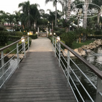 фото из отзыва ID 1814143