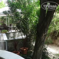 фото из отзыва ID 1815746